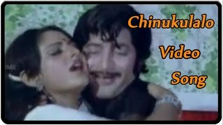 Chinukulalo Video Song  Rahasya Goodachari Movie  Krishna JayaPrada [upl. by Deys]