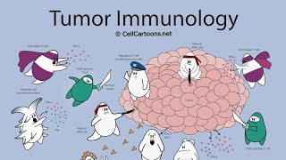 tumor Immunology [upl. by Plath]