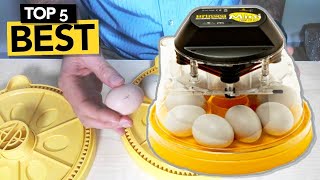 ✅ TOP 5 Best Egg Incubator you must own [upl. by Alim364]