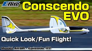 EFlite Conscendo Evolution 15m BNF Basic  Model AV8R Quick LookFun Flight [upl. by Kcirret]