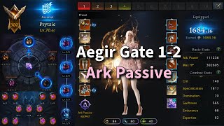 Lost Ark Aegir With Cheapo Ark Passive Read Pin [upl. by Swor]