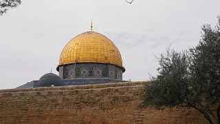 آذان وخطبة وصلاة الجمعة من المسجد الأقصى المبارك Adhan and Friday prayer from AlAqsa Mosque [upl. by Ilhsa]