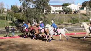 Horseball Liga Madrid Jornada  LA PLAZA A  PALENCIA A [upl. by Lama782]