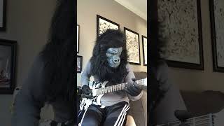 Frank Marino and Mahogany Rush I’m a King Bee guitar music [upl. by Ally]