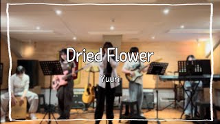 연플리 집회 Dried FlowerYuuri [upl. by Maggs463]