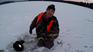 Early Ice Walleyes  Tips And Tricks To Catch More Walleyes [upl. by Nahor522]