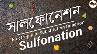 বেনজিনের সালফোনেশন  অ্যারোমেটিক যৌগের ইলেকট্রোফিলিক প্রতিস্থাপন বিক্রিয়া  Sulfonation of Benzene [upl. by Alaster]