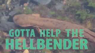 Help the Hellbender [upl. by Yvan]