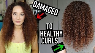 How to Transition to Naturally Curly Hair  10 Steps to Curly Hair for Beginners [upl. by Slocum]