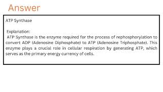 Which of the following is an enzyme required by the process of rephosphorylation to create ATP [upl. by Knorring518]