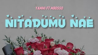 Yammi Ft Mbosso  Nitadumu nae Lyrics Video [upl. by Sukramed]