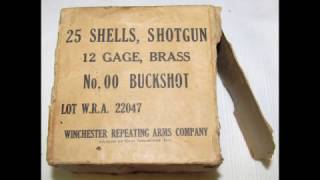 Defensive Shotgun Myths Birdshot versus Buckshot SHTF no zombies [upl. by Luht]