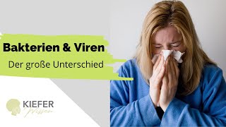 Viren vs Bakterien  Aufbau Funktion amp Behandlung [upl. by Esorbma258]