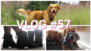 VLOG 57  neue AIGLE Gummistiefel  Videodreh [upl. by Livia741]