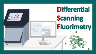 Differential Scanning Fluorimetry DSF  DSF application  Thermal stability of protein [upl. by Kimura647]