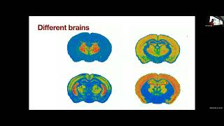 Shape Analysis [upl. by Artemed]