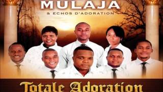 Ozali Nzambe Franck Mulaja et Echos dadoration  Worship Fever Channel [upl. by Tressia288]