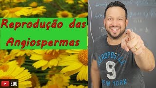 Reprodução das Angiospermas  Botânica  Biologia com o Tubarão [upl. by Corella]