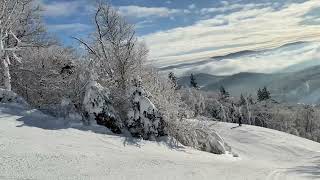 Sleeper Chutes and Sleeper  Sugarbush VT  January 2021 [upl. by Neddie]