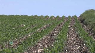 Soybean Planting 734 Air Date 42912 [upl. by Hildegarde]