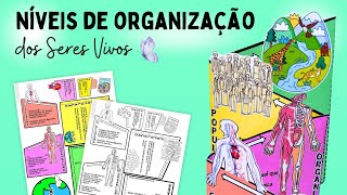 Níveis de organização dos seres vivos [upl. by Ahteres]