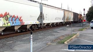 BNSF Trains at Station 14 [upl. by Cobby28]