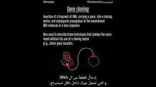 Biotechnology Clossaryبالعربيمصطلحات تبدأ بِ جين [upl. by Isaac697]