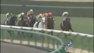 2012年第60回阪神大賞典（G2） ギュスターヴクライ [upl. by Madelene]