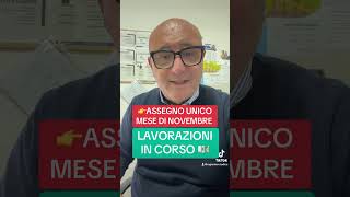 LAVORAZIONI IN CORSO ASSEGNO UNICO DI NOVEMBRE youtube youtubeshorts inps perte yes pagamenti [upl. by Ketchan]