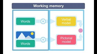 The Role of Working Memory for Learning [upl. by Meean]