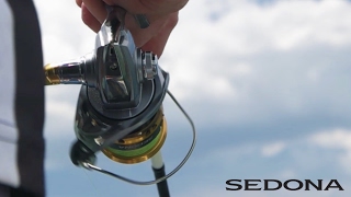 SHIMANO SEDONA FI [upl. by Nal163]