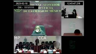 Audiencia Intermedia Penal ciudad de México Parte 1 [upl. by Eizzo]