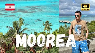 MOOREA Island Beach Tour 🇵🇫  Best beaches in French Polynesia  Travel Vlog 4K [upl. by Leelaj]