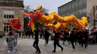 Dragon Dance for Chinese New Year 2020 [upl. by Terti]