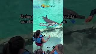 Mágica experiencia con un delfín solrivieracancun Dolphinaris toursencancunsrc delfines cancun [upl. by Fulbert305]