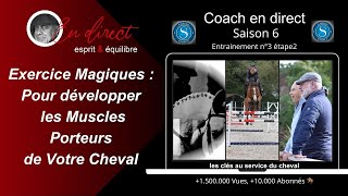 Exercice Magique  Pour développer les Muscles Porteurs de Votre Cheval coachendirecthorselearning [upl. by Roderica]