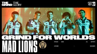 Grind For Worlds Mad Lions [upl. by Zandra673]