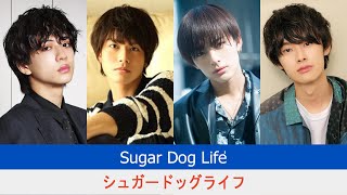 Sugar Dog Life Cast  Sugar Dog Life 2024  シュガードッグライフ 2024 [upl. by Euqirat]