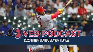 Minor League Season Review [upl. by Sylera516]