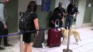 Controlli della Polizia nella stazione Termini di Roma [upl. by Sigrid]