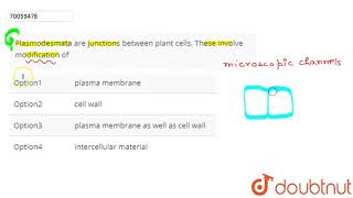 Plasmodesmata are junctions between plant cells These involve modification of [upl. by Eaves]