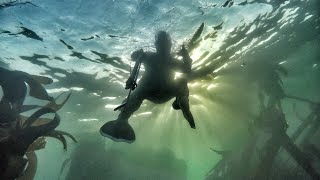 EP 9  Tietiesbaai 9m Spearfishing for hottentot  West Coast [upl. by Millar]