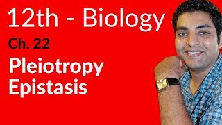 FSc Biology Book 2 Pleiotropy Epistasis  Ch 22 Variation and Genetics  12th Class Biology [upl. by Halyhs846]