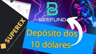 BeeFund Depósito dos 10 dólares Passo a Passo [upl. by Aelak]