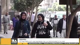 ÉGYPTE LE FMI PRÉVOIT UNE REPRISE DE LA CROISSANCE DU PIB MALGRÉ UNE INFLATION PERSISTANTE [upl. by Malliw]