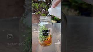 Lets Make Herbal Vinegar [upl. by Sharai]