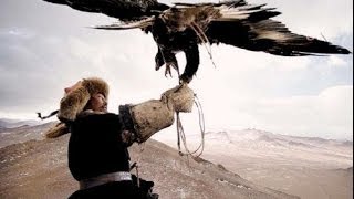 CACCIANDO  Caccia in Mongolia Eagles vs Wolves amazing hunt [upl. by Aubin]