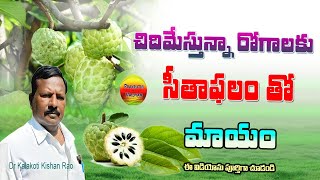 చిదిమేస్తున్న రోగాలుసీతాఫలంతో మాయంSurprising Benefits of Cherimoya Custard AppleIn Telugu [upl. by Akalam253]