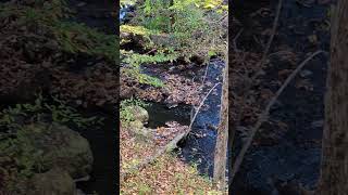 Stream near rental house in lanesborough Massachusetts [upl. by Esdras274]