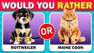 Would You Rather Dogs VS Cats Edition 🐶🐱 Fun Quiz for Pet Lovers [upl. by Ellora]